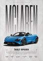 Luxury Super Car Race Cars Posters and Unframed Canvas Room Home Decor